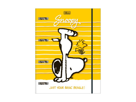 FICHARIO ESC.SNOOPY 48F.