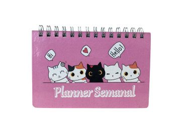 AGENDA ESP.PLANNER...