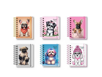 AGENDA ESP.CAES 13X19 AN.160F