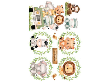 TRANSFER IMAGEM SAFARI-BIG