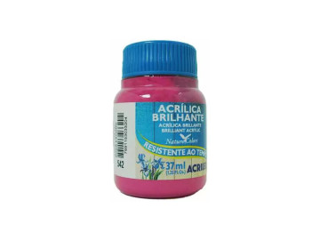 TINTA ACRILICA BRILH.ROSA...