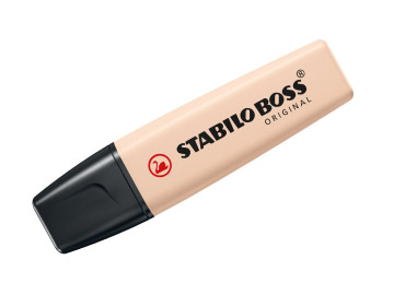 CANETA DESTACA TEXTO BEGE...